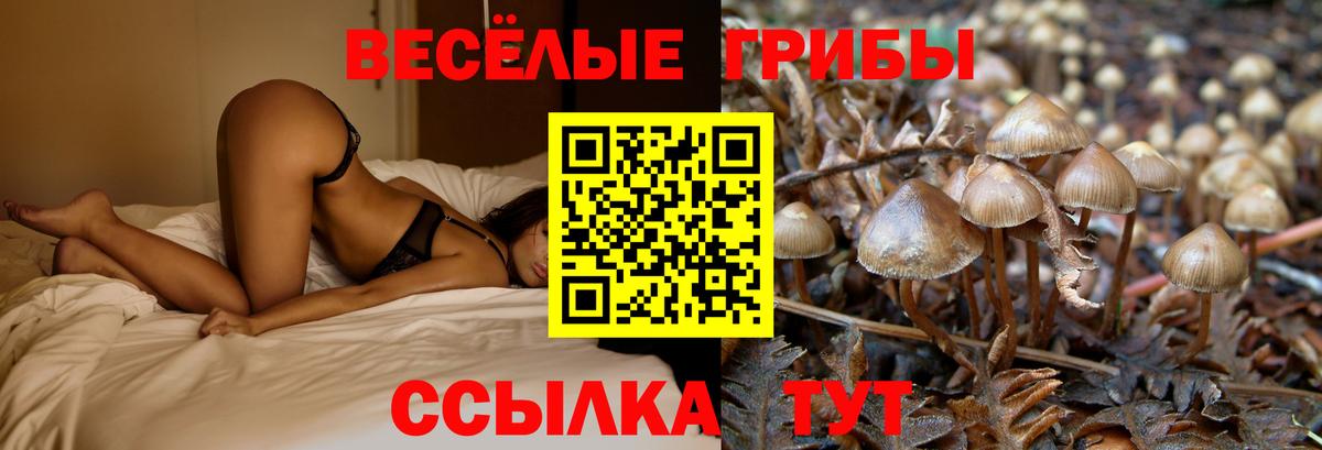 Галлюциногенные грибы ЛСД  Вход с VPN  Химки 